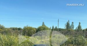 В отношении водителя «УАЗа» возбудили уголовное дело из-за ДТП