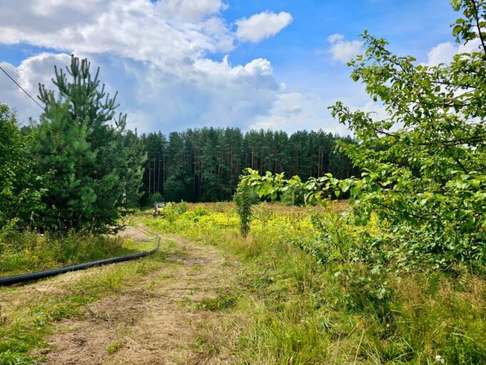 До 2025 года включительно в регионе построят более 1,7 тысячи км газовых сетей