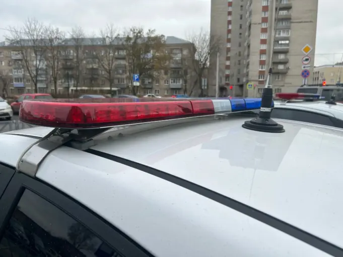 Рыбинец получил срок за попытку устроить теракт