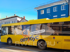 До конца года в регион поступит более 180 новых автобусов