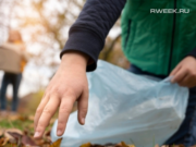 Рыбинцев приглашают на экологический забег в Высоковский бор