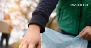 Рыбинцев приглашают на экологический забег в Высоковский бор