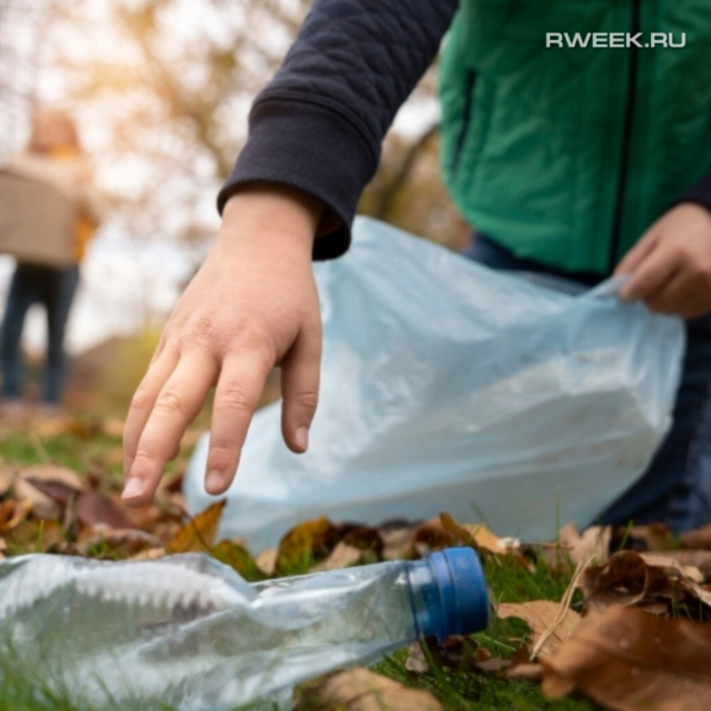 Рыбинцев приглашают на экологический забег в Высоковский бор
