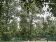 В Рыбинске появится пять новых площадок для выгула собак