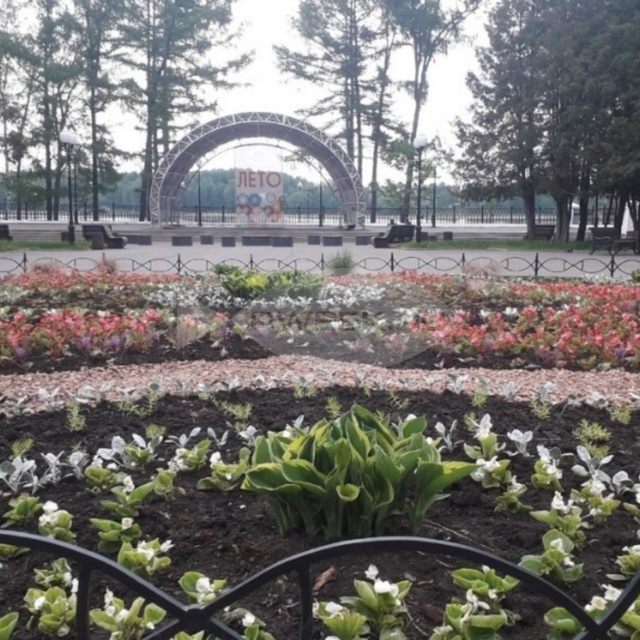 В Рыбинске пройдет бесплатный мастер-класс по Аргентинскому танго