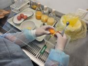 Ярославская область получит федеральные средства на развитие ветеринарной лаборатории