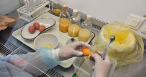 Ярославская область получит федеральные средства на развитие ветеринарной лаборатории