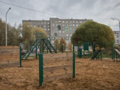 В Рыбинске откроют пять новых площадок для тренировки собак