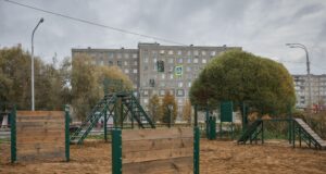 В Рыбинске откроют пять новых площадок для тренировки собак