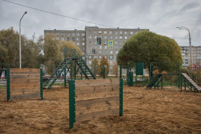 В Рыбинске откроют пять новых площадок для тренировки собак