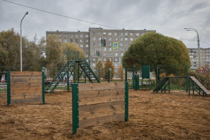В Рыбинске откроют пять новых площадок для тренировки собак