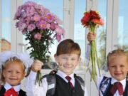 Многодетные семьи Ярославской области могут оформить цифровое удостоверение