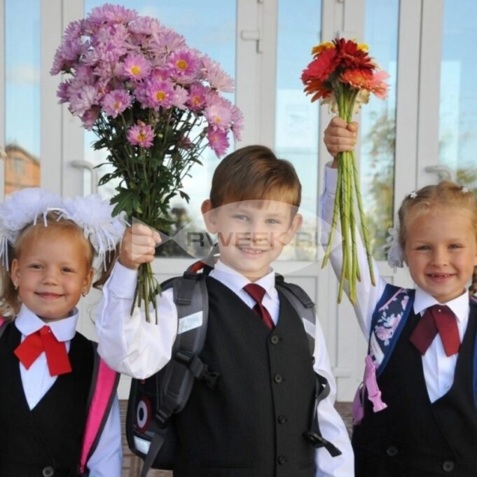 Многодетные семьи Ярославской области могут оформить цифровое удостоверение