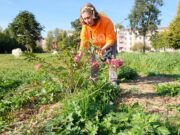 Рыбинский дом-интернат взял шефство над Димитровским парком