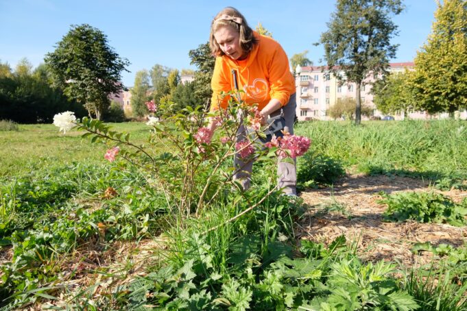 Рыбинский дом-интернат взял шефство над Димитровским парком