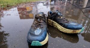 Под Рыбинском пройдет беговой трейл