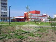 В парке на Суркова в Рыбинске появятся 200 молодых саженцев