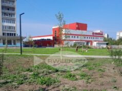 В парке на Суркова в Рыбинске появятся 200 молодых саженцев