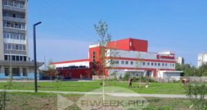 В парке на Суркова в Рыбинске появятся 200 молодых саженцев