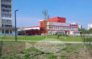 В парке на Суркова в Рыбинске появятся 200 молодых саженцев