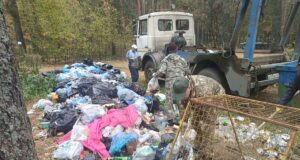 В Высоковском бору убрали 13 кубов мусора