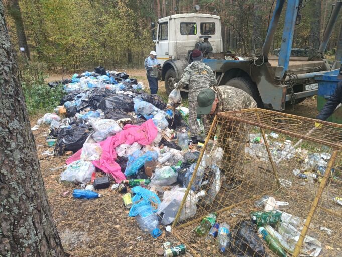 В Высоковском бору убрали 13 кубов мусора
