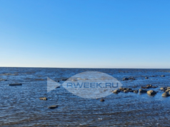 Под Рыбинском люди добились возвращения земли у водохранилища в общее пользование