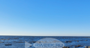 Под Рыбинском люди добились возвращения земли у водохранилища в общее пользование