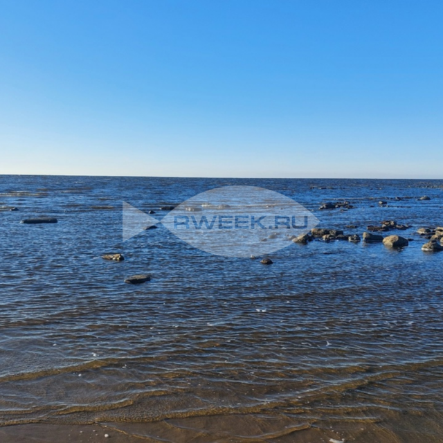 Под Рыбинском люди добились возвращения земли у водохранилища в общее пользование