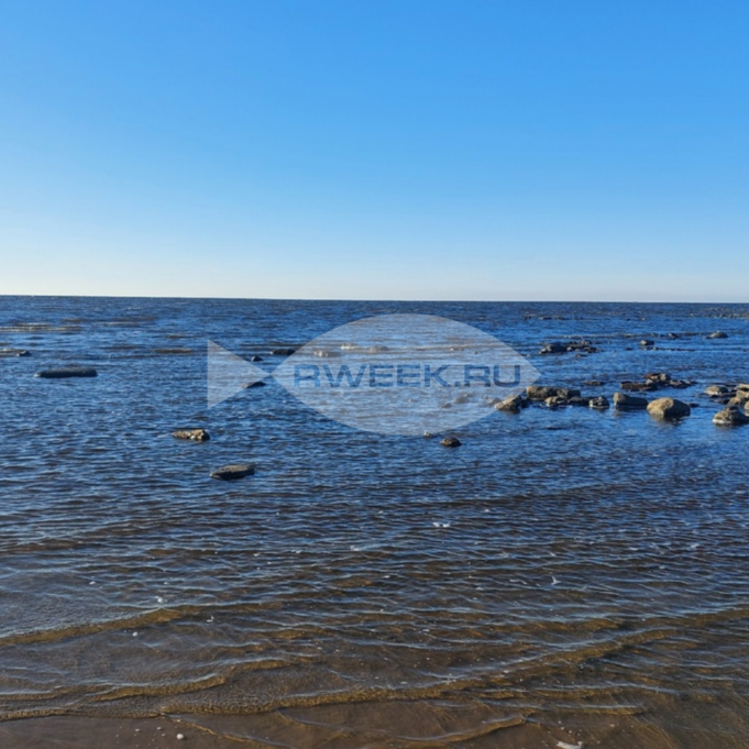 Под Рыбинском люди добились возвращения земли у водохранилища в общее пользование