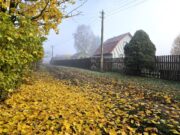 В Ярославской области газифицирована деревня Демино