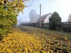 В Ярославской области газифицирована деревня Демино