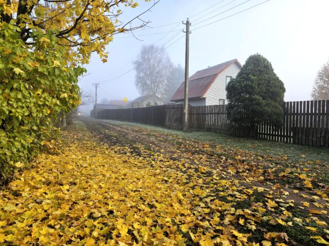 В Ярославской области газифицирована деревня Демино