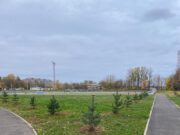 На стадионе «Сатурн» высадили новые деревья