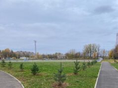 На стадионе «Сатурн» высадили новые деревья