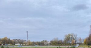 На стадионе «Сатурн» высадили новые деревья