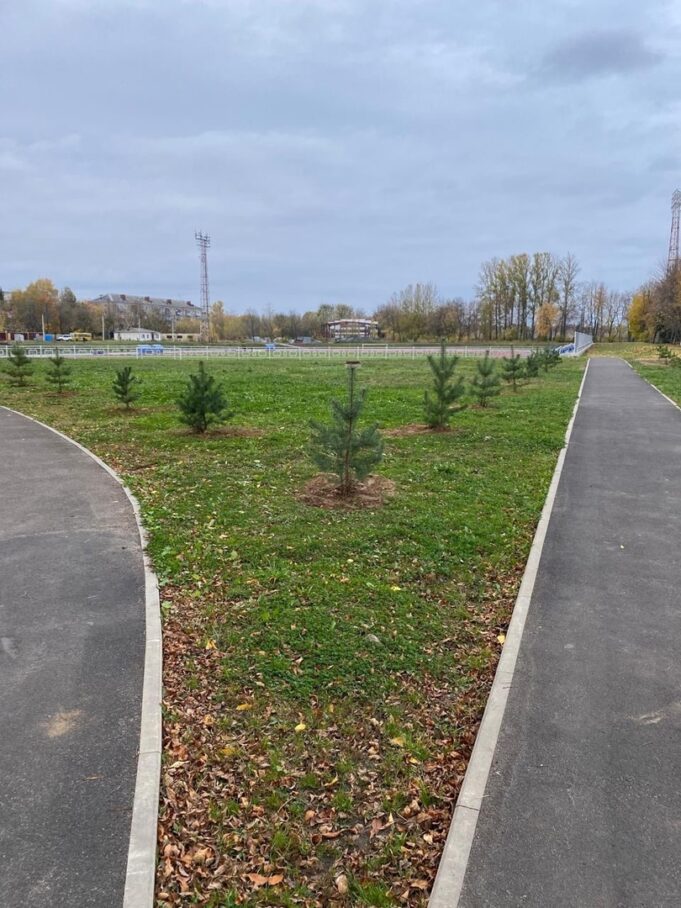 На стадионе «Сатурн» высадили новые деревья