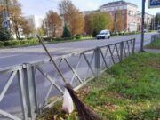 В рамках осеннего субботника в Рыбинске вывезли более 140 кубов мусора