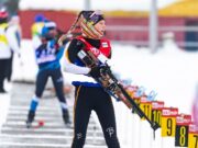 В парке на проспекте Батова создадут биатлонную трассу