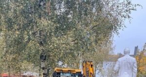 В Рыбинске приступили к благоустройству сквера у завода полимеров