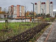 В парке на Суркова высаживают живую изгородь из кизильника