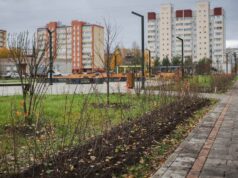 В парке на Суркова высаживают живую изгородь из кизильника