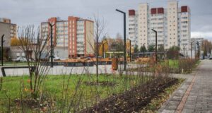 В парке на Суркова высаживают живую изгородь из кизильника