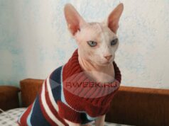 Отопительный сезон в Ярославской области начнется 4 октября