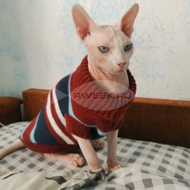 Отопительный сезон в Ярославской области начнется 4 октября