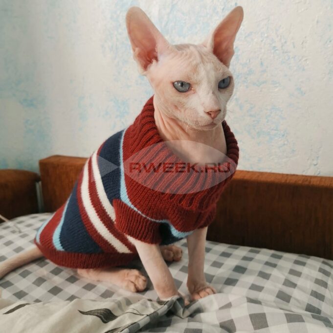 Отопительный сезон в Ярославской области начнется 4 октября