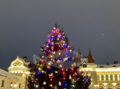 В Рыбинске ищут новогодние ели