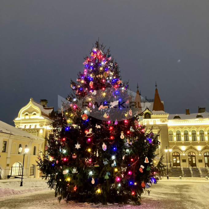 В Рыбинске ищут новогодние ели