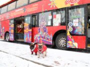 Двухэтажный туристический автобус вышел в первый тестовый рейс по Ярославлю