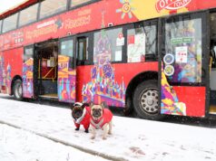 Двухэтажный туристический автобус вышел в первый тестовый рейс по Ярославлю